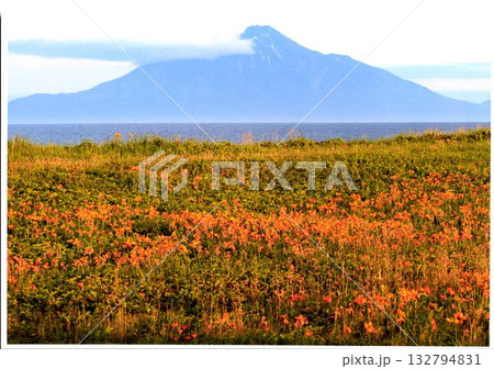 サロベツ原野 サロベツ原野 132794831