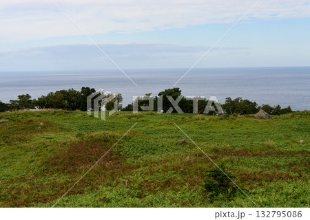 秋の知床五湖 132795086