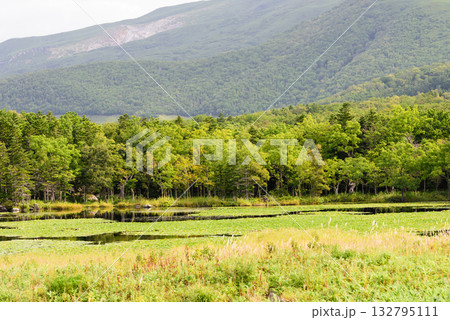 秋の知床五湖 132795111
