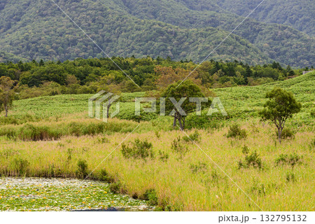 秋の知床五湖 132795132