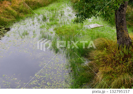 秋の知床五湖 132795157