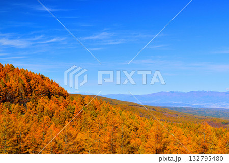 メルヘン街道 峠から見る朝霧の佐久市街と山々の紅葉 132795480