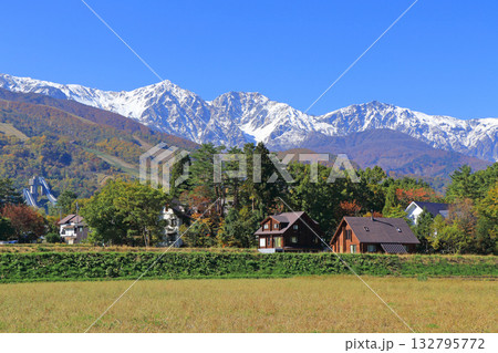 三段紅葉の白馬山麓 三段紅葉の白馬山麓 132795772