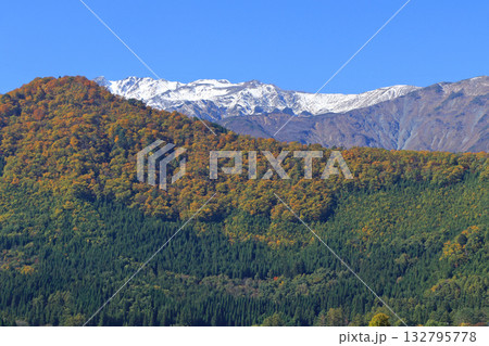 白馬山麓の三段紅葉 白馬山麓の三段紅葉 132795778