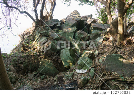 日本発祥の地 笠狭宮跡 宮ノ山遺跡 日本発祥の地 笠狭宮跡 宮ノ山遺跡 132795822