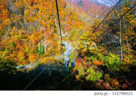 紅葉の渓谷を下るゴンドラ 132796025