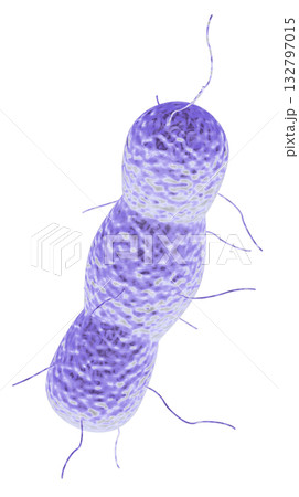 ウィルス 132797015