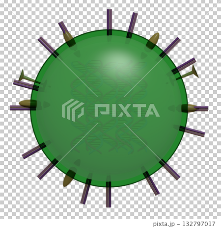 インフルエンザ 132797017