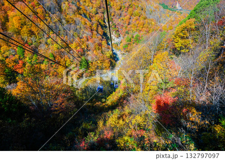 紅葉の渓谷とゴンドラ3 紅葉の渓谷とゴンドラ3 132797097