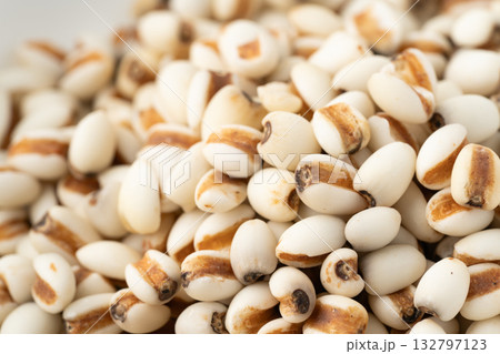 たくさんのはと麦のクローズアップ たくさんのはと麦のクローズアップ 132797123