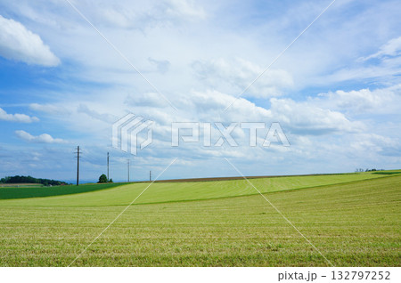 青空と緑の畑のコントラストが美しい田舎の風景 青空と緑の畑のコントラストが美しい田舎の風景 132797252