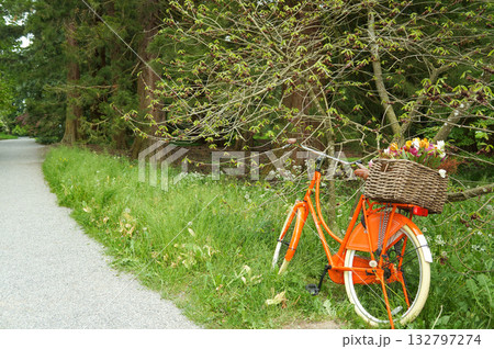 道端にとめられているオレンジ色の可愛い自転車 道端にとめられているオレンジ色の可愛い自転車 132797274