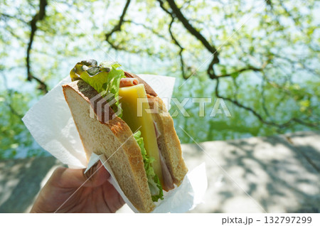 公園で食べるハムとチーズとレタスが挟まった自家製のサンドイッチ 公園で食べるハムとチーズとレタスが挟まった自家製のサンドイッチ 132797299