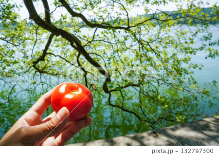 湖のほとりの木の下で真っ赤なトマトを持っている人 132797300