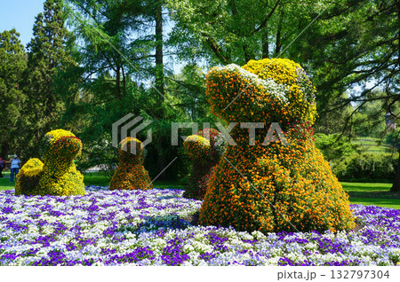 ドイツの小さな町にあるマイナウ島の島内に設置された植物で作られたアヒル 132797304