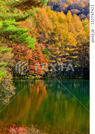 信州　奥蓼科 紅葉の神秘的な御射鹿池 132797421