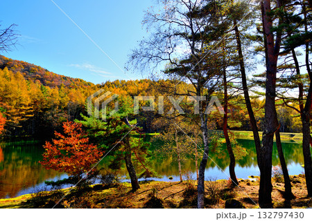 信州　奥蓼科 紅葉の神秘的な御射鹿池 132797430