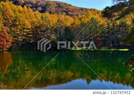 信州　奥蓼科 紅葉の神秘的な御射鹿池 132797452