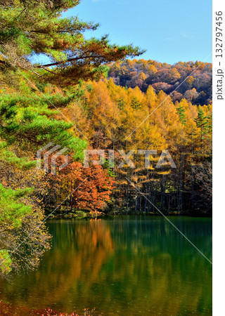 信州 奥蓼科 紅葉の神秘的な御射鹿池 信州 奥蓼科 紅葉の神秘的な御射鹿池 132797456