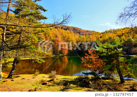 信州 奥蓼科 紅葉の神秘的な御射鹿池 信州 奥蓼科 紅葉の神秘的な御射鹿池 132797457