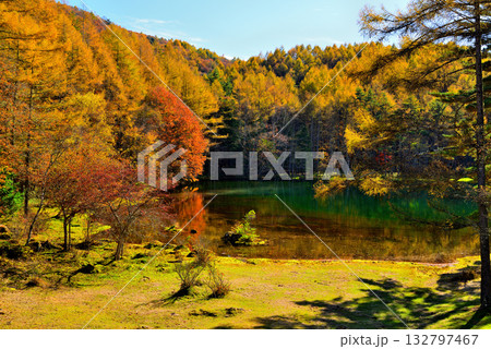 信州　奥蓼科 紅葉の神秘的な御射鹿池 132797467