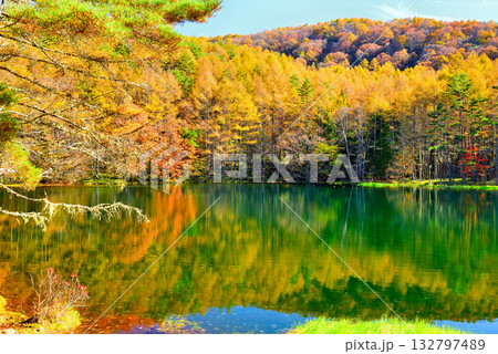 信州　奥蓼科 紅葉の神秘的な御射鹿池 132797489