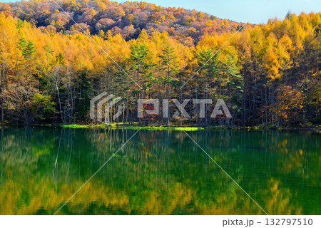 信州　奥蓼科 紅葉の神秘的な御射鹿池 132797510