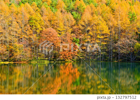 信州　奥蓼科 紅葉の神秘的な御射鹿池 132797512