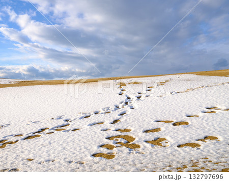 雪が積もった冬の鳥取県の鳥取砂丘　旅行 132797696