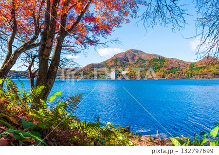 榛名山・榛名湖・掃部ヶ岳（秋） 132797699