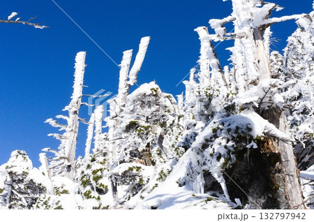 蓼科山の青空に映える美しい樹氷 132797942