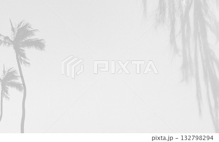 Shadow Background Abstract Leave Overlay Wall Floor Light Effect White Plant Sunlight Backdrop Mockup Minimal Spring Summer Nature Grey blur Photography Scene Template Poster Card Frame Product. 132798294