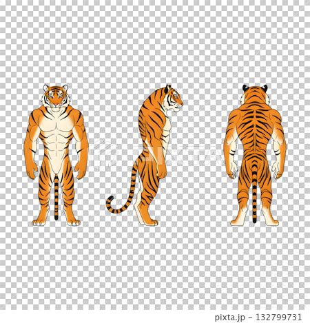 Set of tiger character. illustration design. 132799731