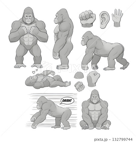 Set of gorilla character. illustration design. 132799744