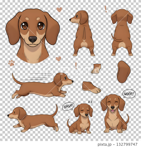 Set of dachshund dog character. illustration design. 132799747