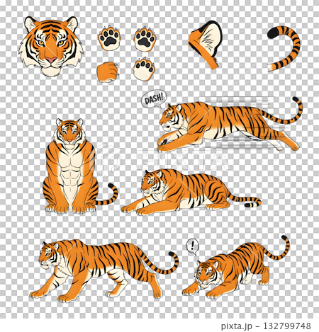 Set of tiger character. illustration design. 132799748