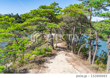 日本の宮城県にある松島の馬の背の風景 132800083