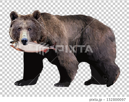 鮭をくわえた熊 132800097