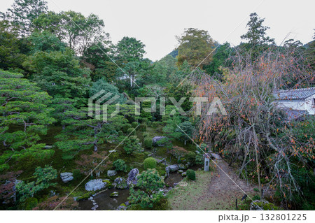 坂本旧竹林院の二階から見た庭の風景 坂本旧竹林院の二階から見た庭の風景 132801225