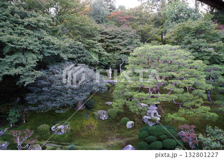 坂本旧竹林院の二階から見た庭の風景 132801227