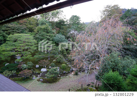坂本旧竹林院の二階から見た庭の風景 坂本旧竹林院の二階から見た庭の風景 132801229