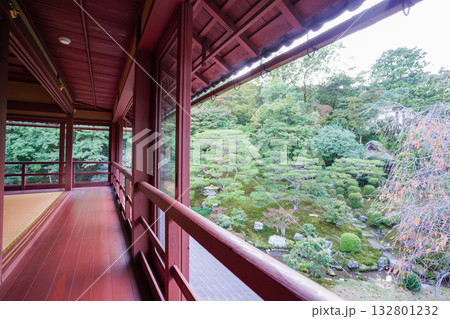 坂本旧竹林院の二階から見た庭の風景 坂本旧竹林院の二階から見た庭の風景 132801232