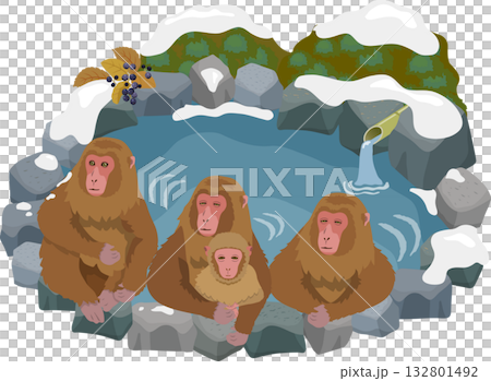 温泉に入る猿 温泉に入る猿 132801492