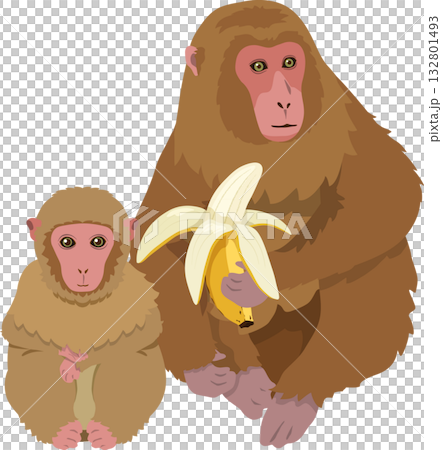 バナナを持つ猿と子猿 132801493