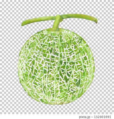 水彩甜瓜 水彩甜瓜 132801691
