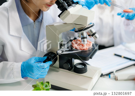 Two Asian scientists in a lab conducting food research using a microscope and lab equipment, showcasing innovation in food science 132801697
