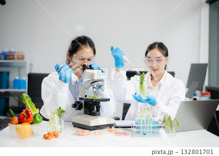 Food scientists in lab coats, testing samples, and analyzing food safety and quality Food scientists in lab coats, testing samples, and analyzing food safety and quality 132801701