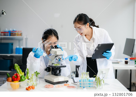 Two Asian scientists in a lab conducting food research using a microscope and lab equipment, showcasing innovation in food science Two Asian scientists in a lab conducting food research using a microscope and lab equipment, showcasing innovation in food science 132801706