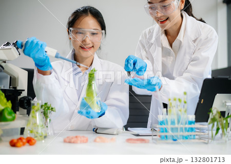 Food scientists in lab coats, testing samples, and analyzing food safety and quality Food scientists in lab coats, testing samples, and analyzing food safety and quality 132801713
