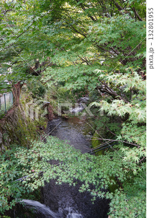 京都大原寂光院界隈の風景 京都大原寂光院界隈の風景 132801955